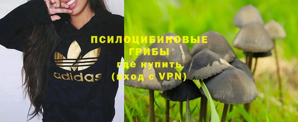 крисы Куйбышев