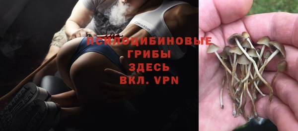 гидра Краснотурьинск