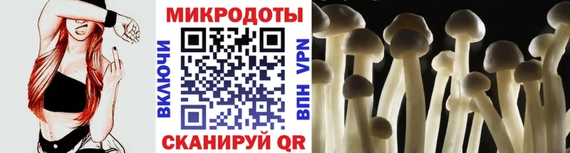Галлюциногенные грибы Cubensis Купить Буй
